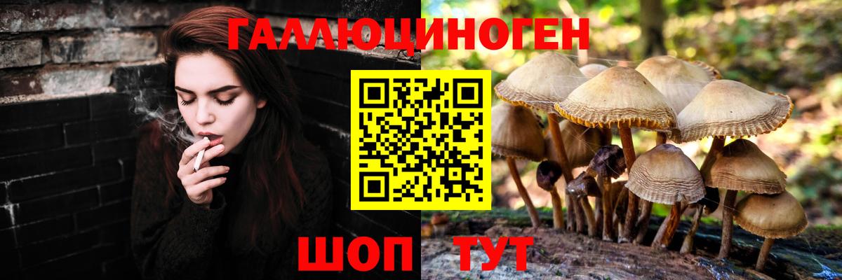 Псилоцибиновые грибы GOLDEN TEACHER Обнинск
