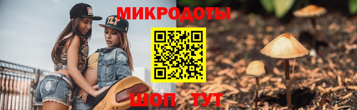 Обнинск  Псилоцибиновые грибы Psilocybine cubensis  Вход с VPN  Псилоцибиновые грибы прущие грибы 